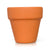 Can You Dig It? Mini - Terracotta Pot 