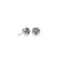 Kendra Scott Nola Silver Stud Earrings In Platinum Drusy